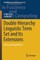 Double Hierarchy Linguistic Term Set and Its Extensions