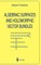 Algebraic Surfaces and Holomorphic Vector Bundles