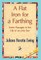 A Flat Iron for a Farthing