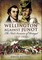 Wellington Against Junot