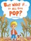 But What if It All Goes Pop?
