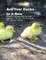 Are Your Ducks In A Row