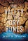 The Valley of Dry Bones