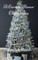 A Carson Manor Christmas