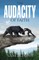 The Audacity of Faith