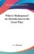 What is Shakespeare? An Introduction to the Great Plays