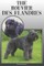 The Bouvier Des Flandres