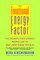 The Emotional Energy Factor