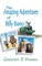 The Amazing Adventures of Billy Burro