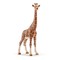 SCHLEICH WILD LIFE Žirafe