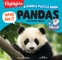 Who Am I? Pandas and Other Bears