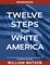 Twelve Steps for White America