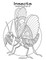 Insects Coloring Book for Grown-Ups 1 & 2