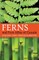 Ferns and Fern Allies of Canada