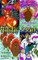 Holiday 4-Pack