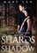 Flynn Nightsider and the Shards of Shadow