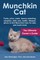Munchkin Cat
