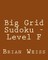 Big Grid Sudoku - Level F