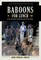 Baboons for Lunch