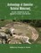 Archaeology of Bandelier National Monument
