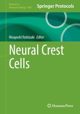 Neural Crest Cells