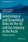 Geoecological and Geopolitical Risks for the Oil and Gas Industry in the Arctic