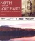 Notes on a Lost Flute