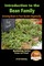 Introduction to the Bean Family - Growing Beans in Your Garden Organically