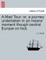 A Mad Tour