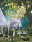 The Tales of Hardwood Forest