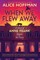 When We Flew Away: A Novel of Anne Frank Before the Diary