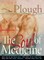 Plough Quarterly No. 17- The Soul of Medicine