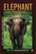 Elephant-The Lady Boss
