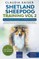 Shetland Sheepdog Training Vol 2 - Dog Training for your grown-up Shetland Sheepdog