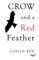 Crow and a Red Feather