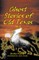 Ghost Stories of Old Texas Vol. 2