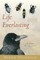 Life Everlasting