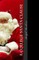 A College Santa Clause