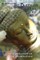 The Buddha's Path Of Virtue