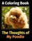 The Thoughts of My Poodle