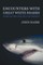 Encounters with Great White Sharks