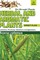 HERBAL AND AROMATIC PLANTS - 34. Acorus calamus (Sweet Flag)