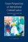 Future Perspectives on International Criminal Justice