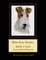 Wire Fox Terrier