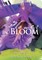 Flower in Bloom