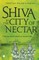 Shiva in the City of Nectar