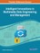 Intelligent Innovations in Multimedia Data Engineering and Management