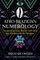 Afro-Brazilian Numerology
