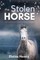The Stolen Horse - Book 4 in the Connemara Horse Adventure Series for Kids The Perfect Gift for Children age 8-12
