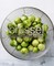 Brussel Sprouts